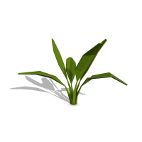 Amazon Sword Plant Symbol Style