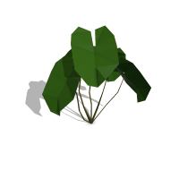 Lacy Tree Philodendron Symbol Style