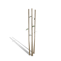 Bamboo Symbol Style