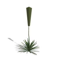 Sea Islands Yucca Symbol Style