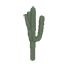 Saguaro Cactus Symbol Style