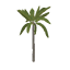 Coconut Palm Symbol Style