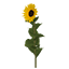 Sunflower Symbol Style