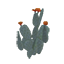 Prickly Pear Cactus Symbol Style