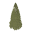 Norway Spruce Symbol Style