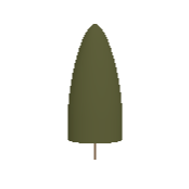 Australian Pine Symbol Style