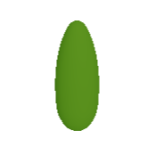 Oval-leaved Privet Symbol Style